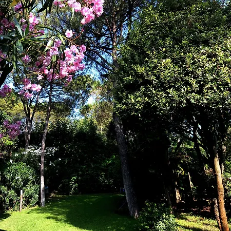 Punta Molino & Отель