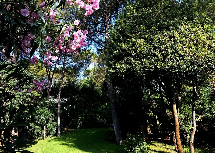 Punta Molino & Отель